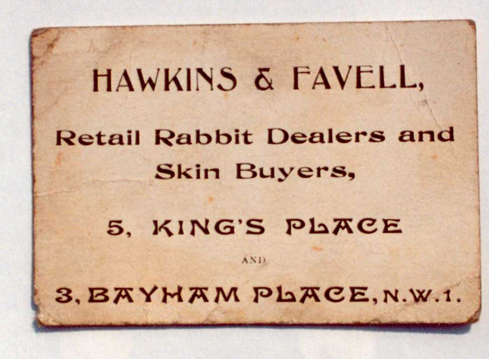 Albert Favell's Business Card